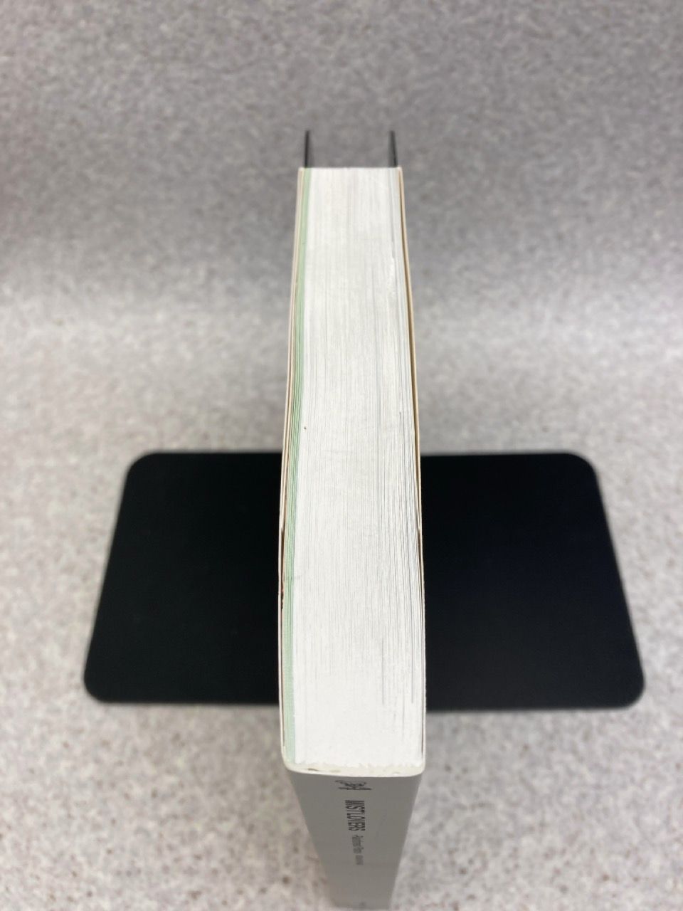 MIST LOVERS -Rainforest Plants- / KEISUKE HASE 長谷圭佑