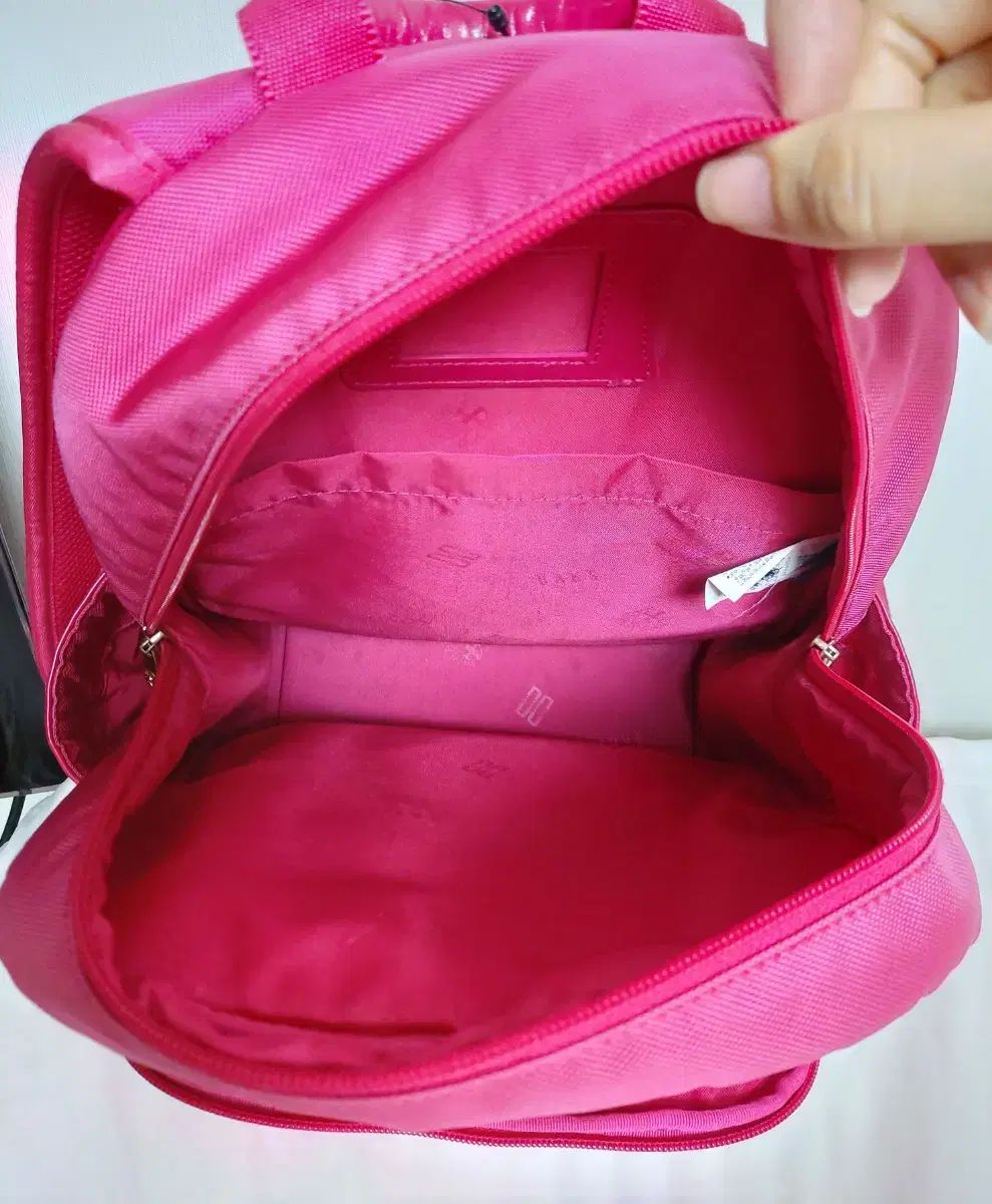 Little ダックスキッズ