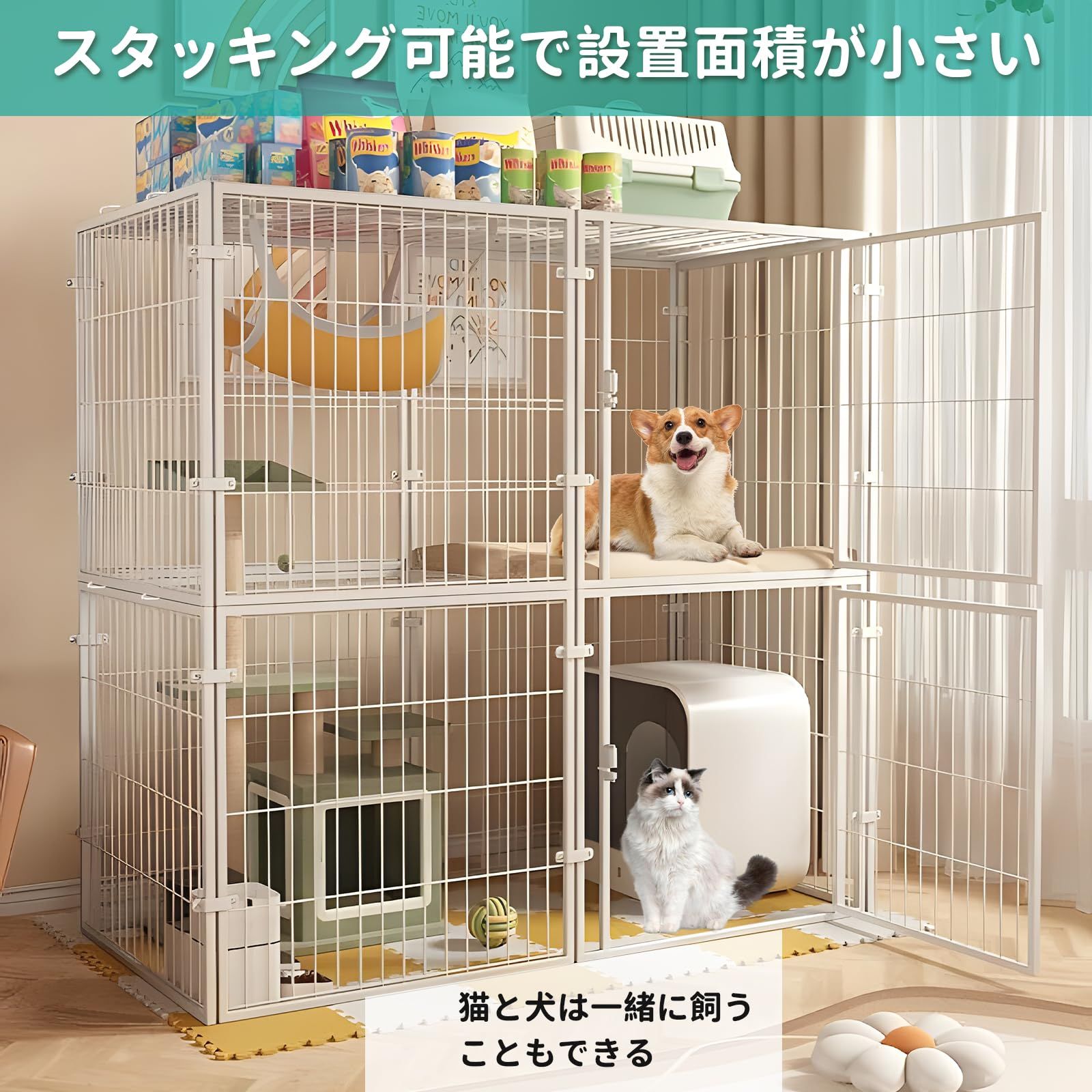 犬