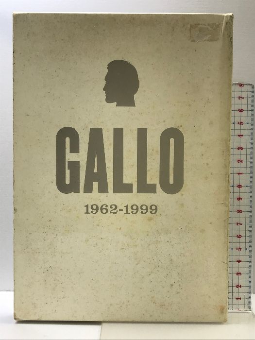 ヴィンセント・ギャロ1962-1999 プチグラパブリッシング ヴィンセント ギャロ