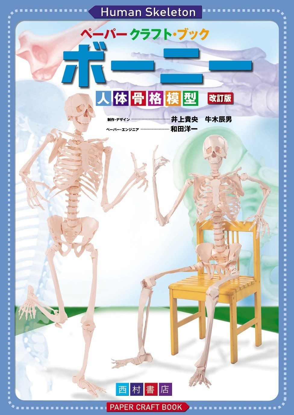 等身大！人体模型 170cm 神経根有り 全身骨格模型 骨格標本 Y1743