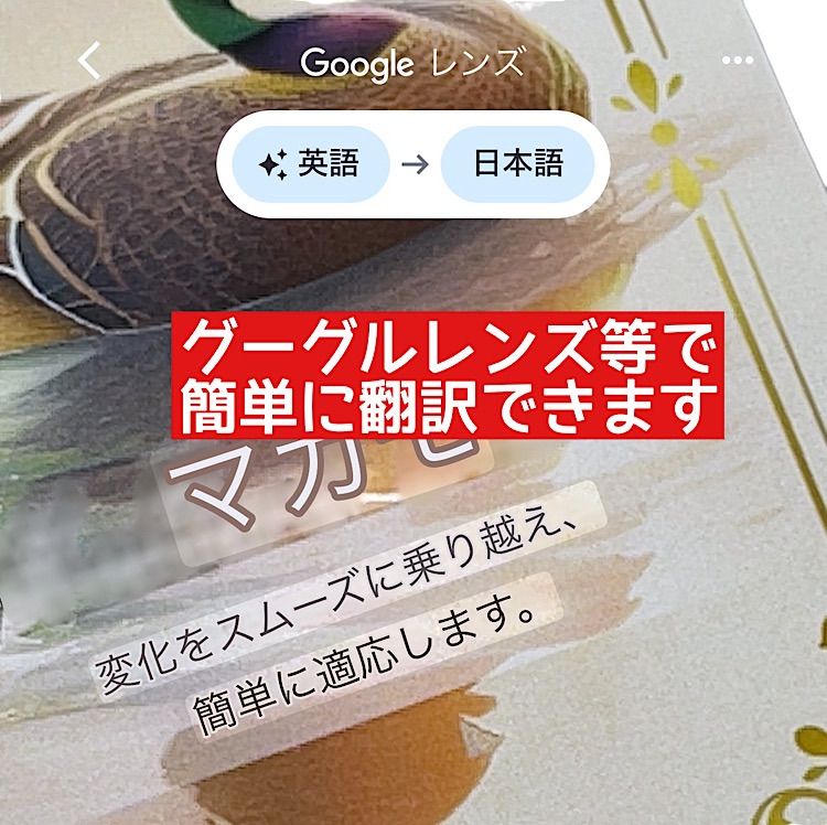 鳥のさえずりのオラクルカード ❤︎ 鳥 ❤︎ デイリーガイダンス