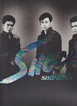 少年隊　PLAYZONE ミュージカル　舞台　パンフレット　他　大量　まとめて 少年隊 PLAYZONE ミュージカル 舞台 パンフレット 他 大量 まとめて