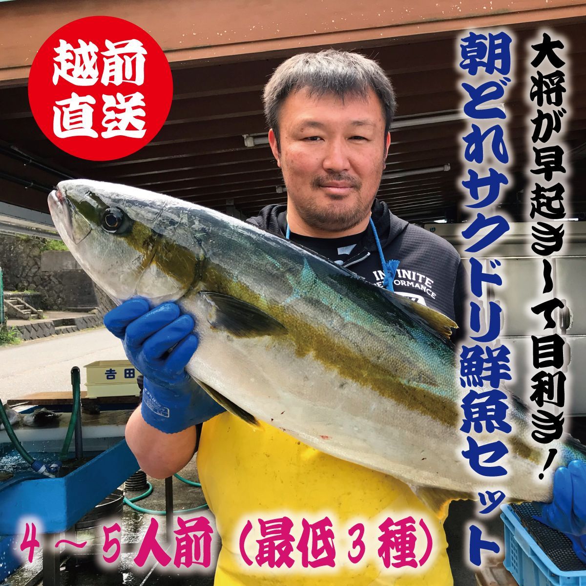 大将が目利き！越前産定置網朝どれ鮮魚サクドリ  4-5人前セット