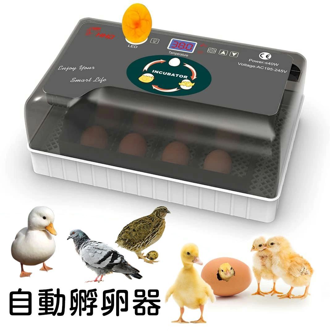 最新自動孵卵器 インキュベーター 恒温器 鳥類専用ふ卵器 孵化器 自動 