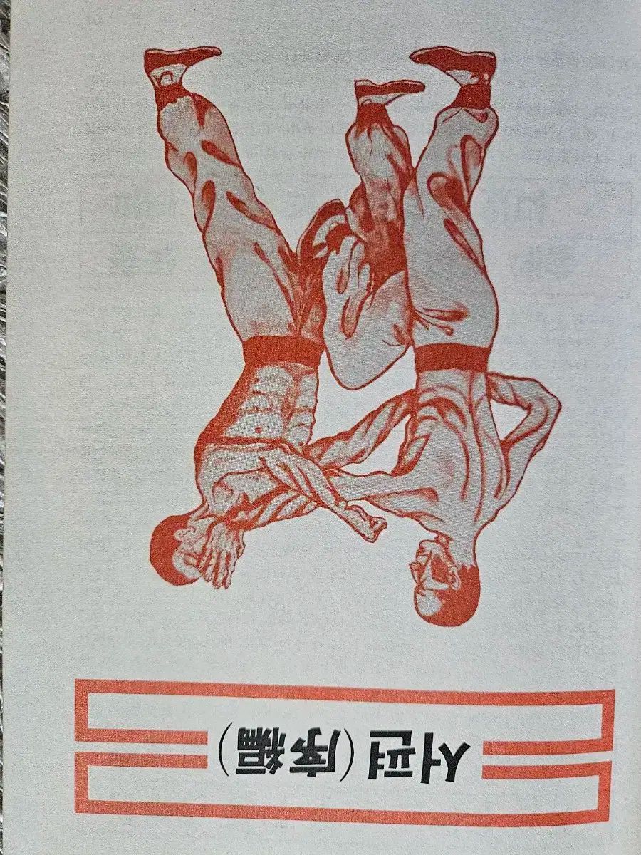 ワイヤメッシュ 中国武術 武道 トレーニングブック KUNG-FU BODY