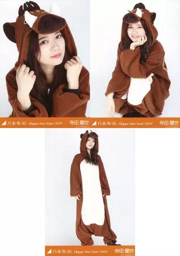 乃木坂46 生写真 寺田蘭世 中古】生写真(乃木坂46) ◇寺田蘭世/「Happy New Year! 2019