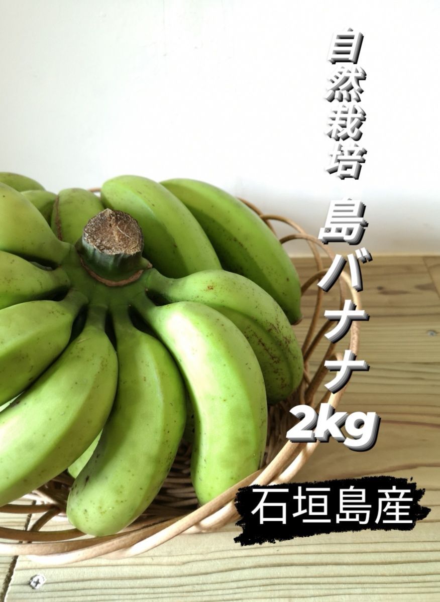 メルカリShops - 石垣島産 島バナナ(自然栽培) 2kg