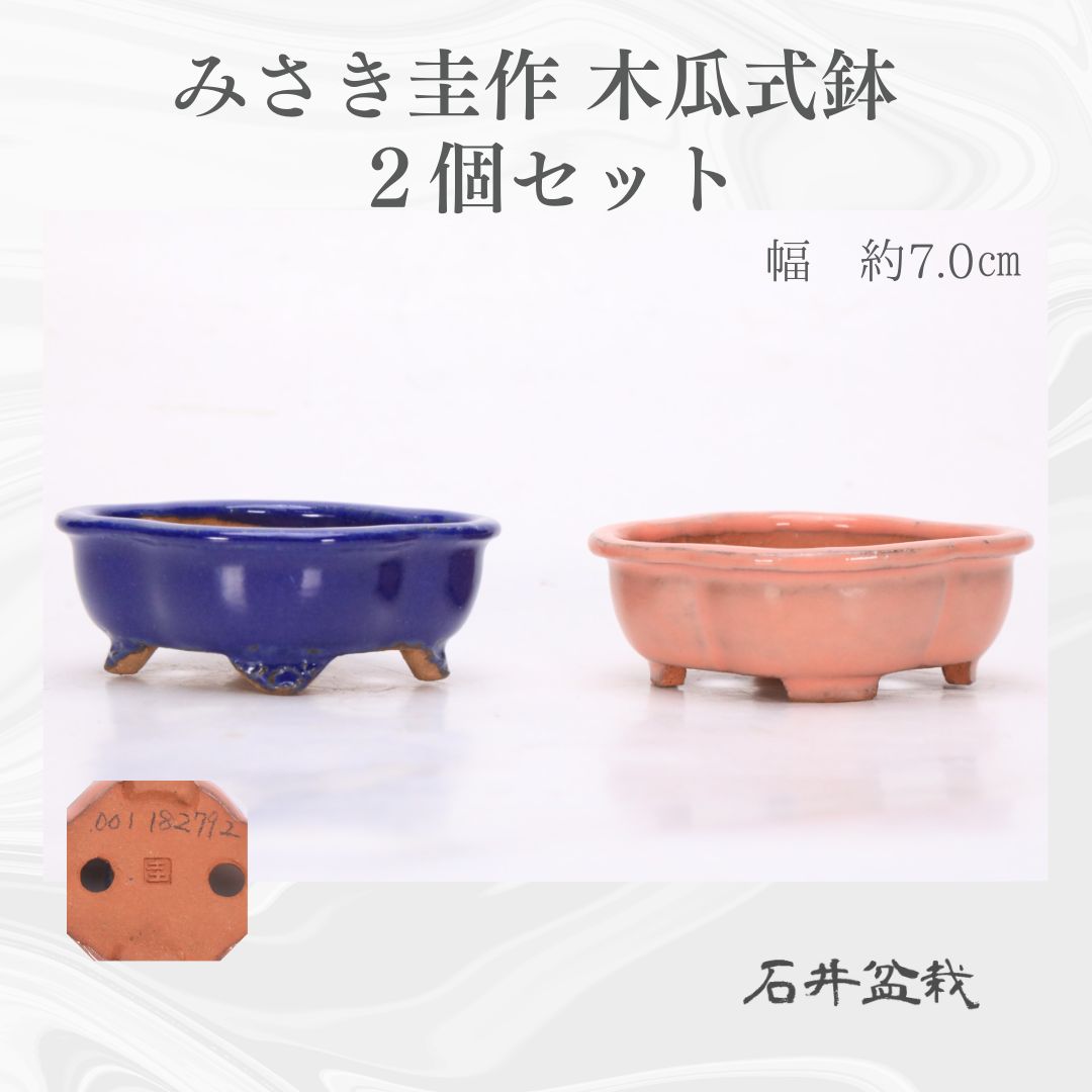 石井盆栽 みさき圭作 木瓜式鉢 盆栽鉢 植木鉢 2個セット p-060