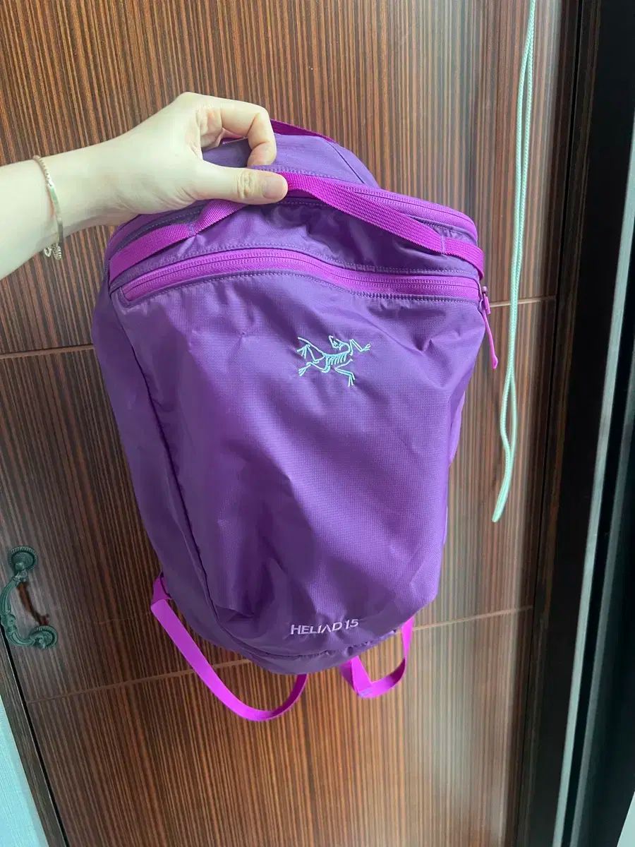 ARC TERYX アークテリクス ヒリアド 15 グルービー HRDEVELOPMENT_JP