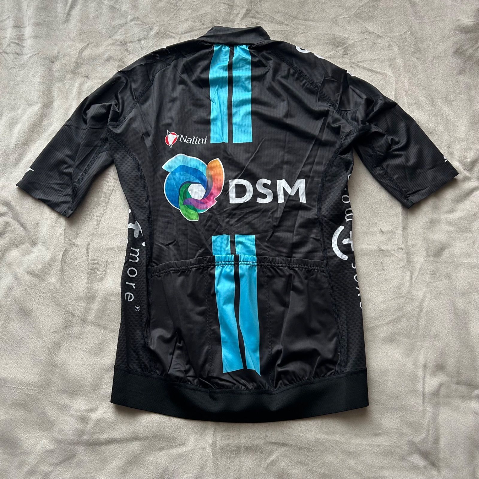 チームDSM