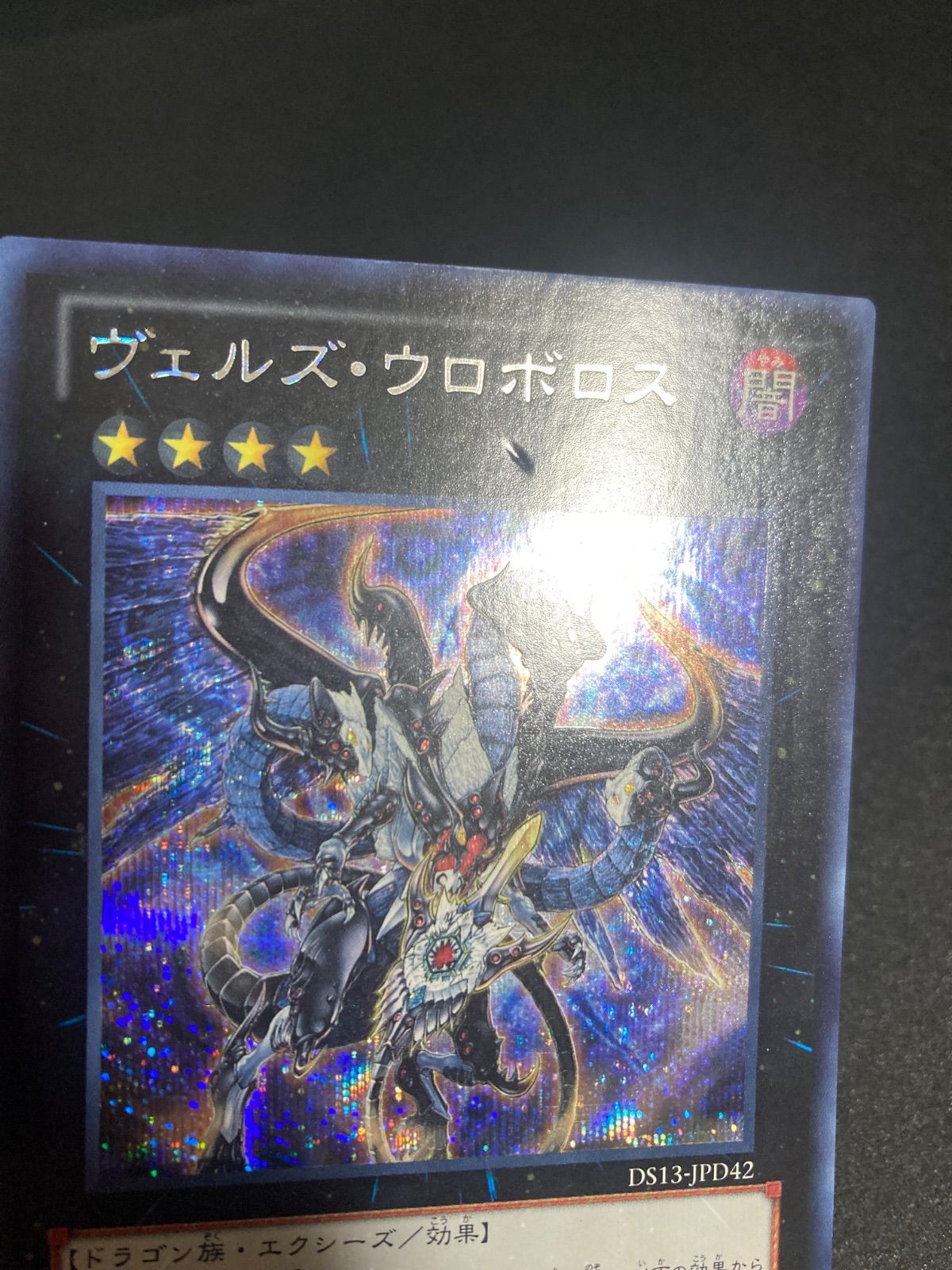 遊戯王 PSA10 ヴェルズウロボロス シークレット シク DT 41QQyEuDg7L._UX250_SCLZZZZZZZ_.jpg