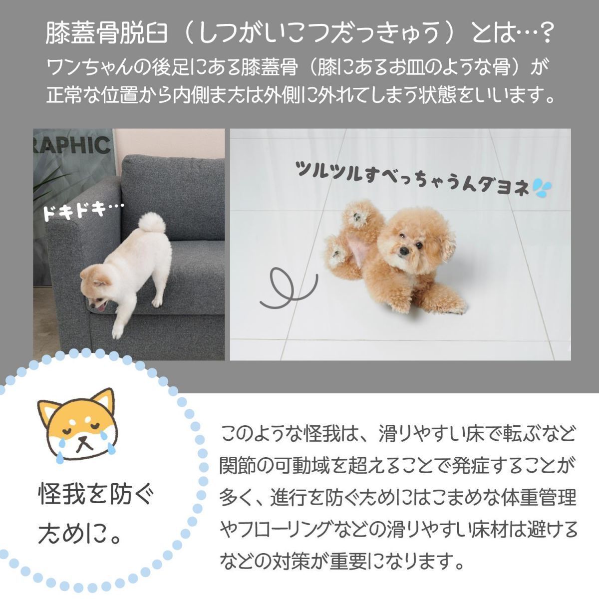 同色2枚セット