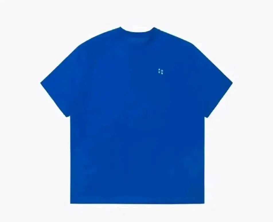 ADER ERROR(アーダーエラー) SIGNIFICANT L 半袖Tシャツ 青