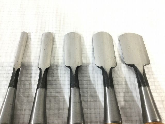 5本組セット ノミ