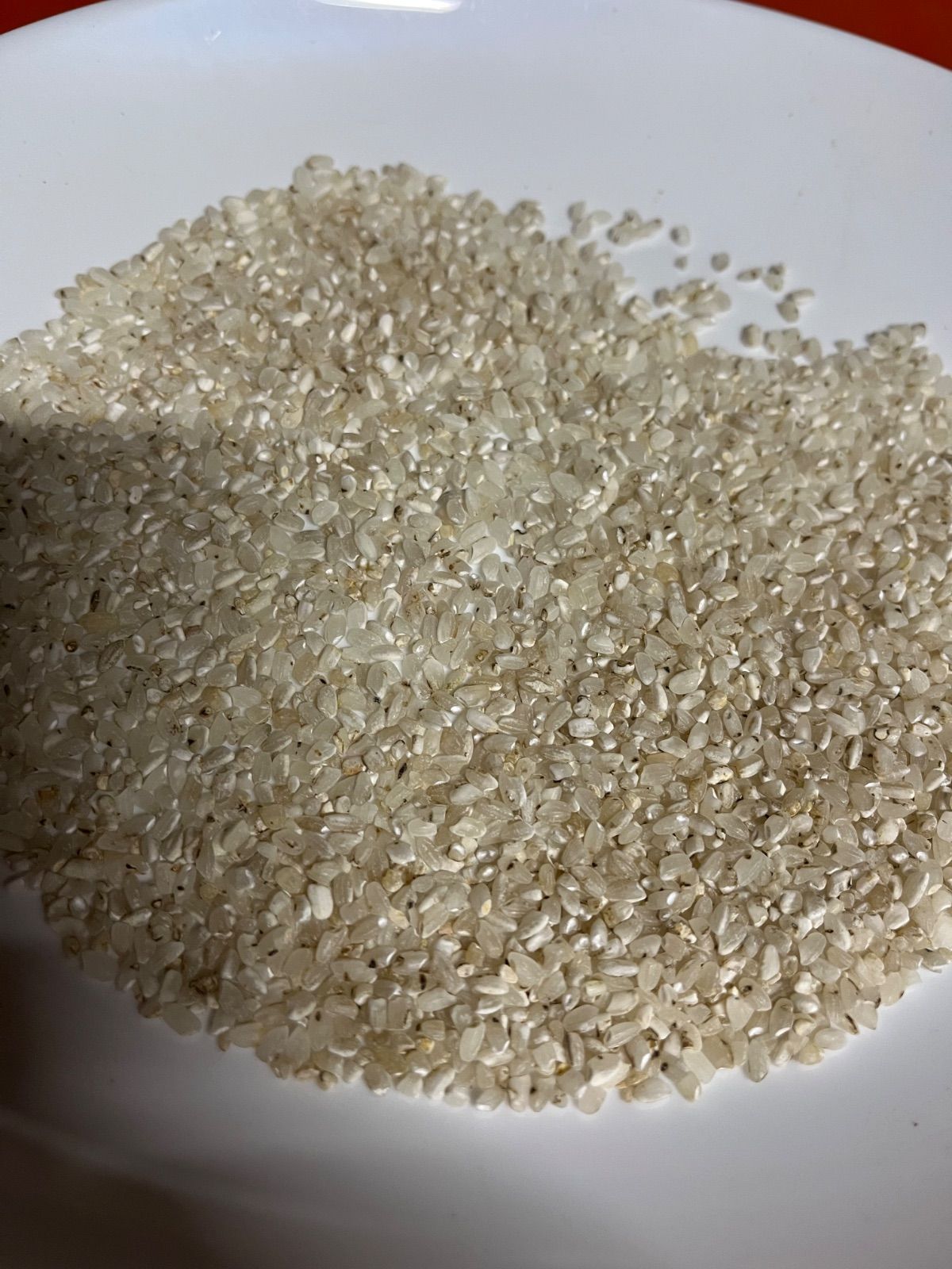 令和6年産色彩選別機から出るくず米白米24キロ 【公式通販】
