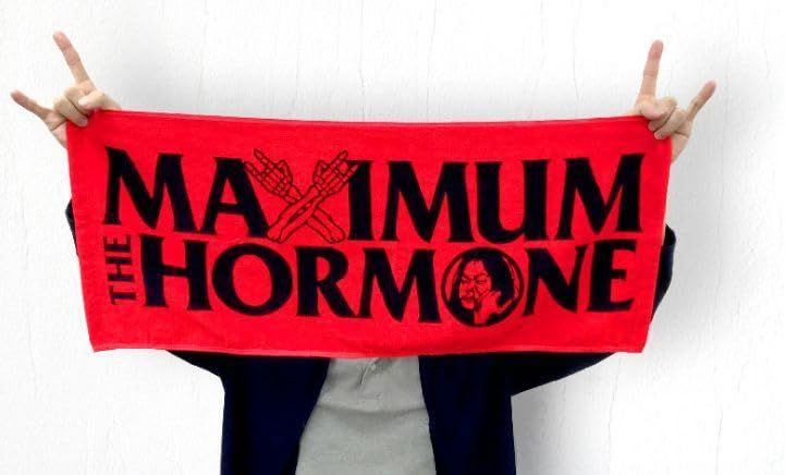 アウトレット マキシマムザホルモン グッズ タオル ホルモンの定番