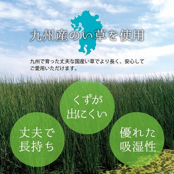 上敷き ゴザ 敷詰 カーペット い草 自然素材 日本製 国産 消臭 抗菌
