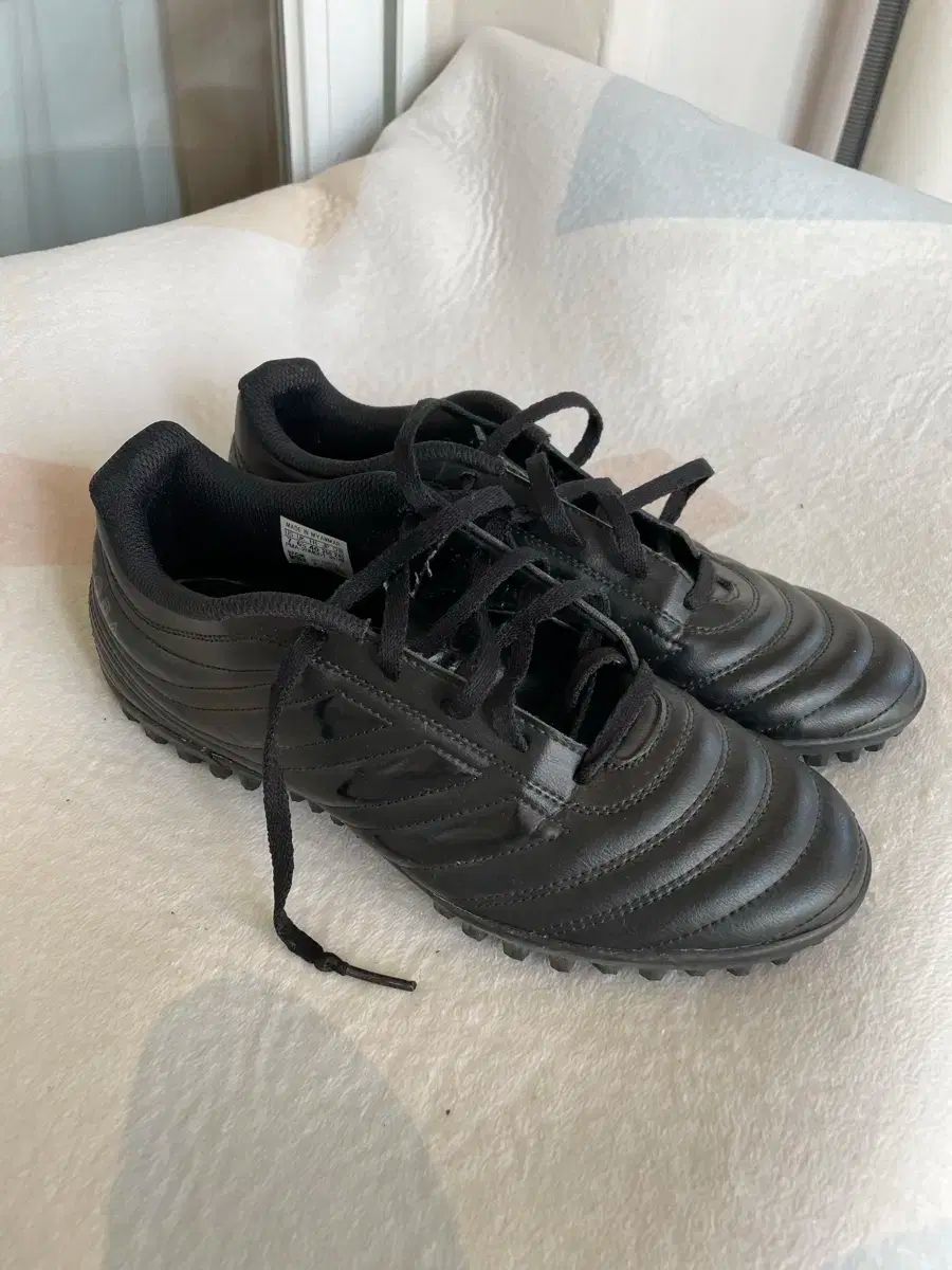 adidas(アディダス) コパ サッカーシューズ 250
