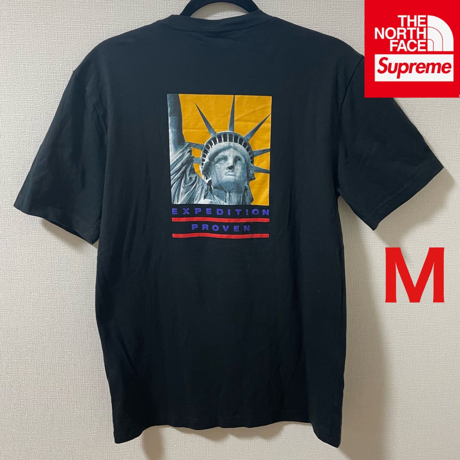 シュプリーム×ノースフェイス Statue of Liberty Tee - メルカリ
