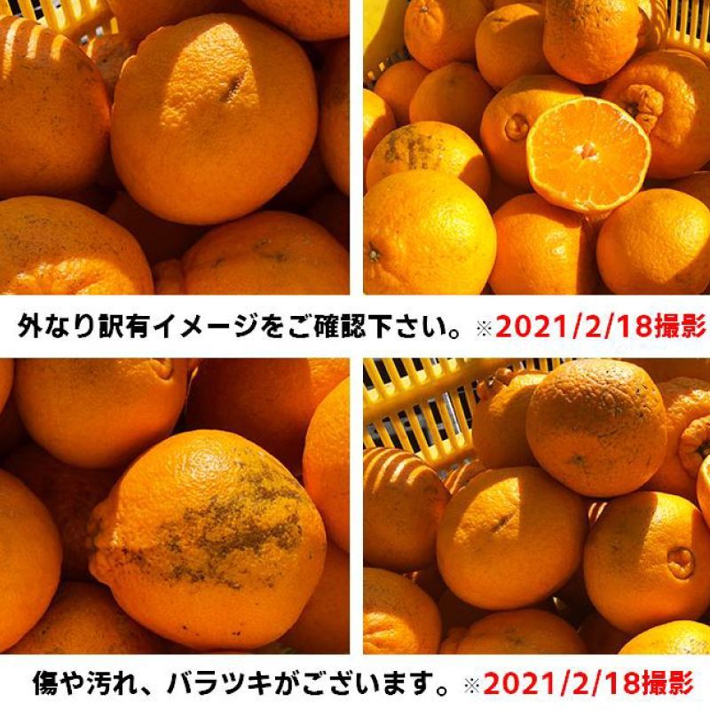 のサムネイル