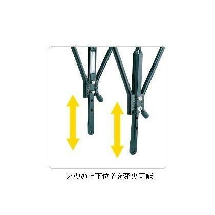 TOPEAK トピーク ユニ スーパーツーリスト DX ディスク CAR16800 DECORATOM_COM_BR