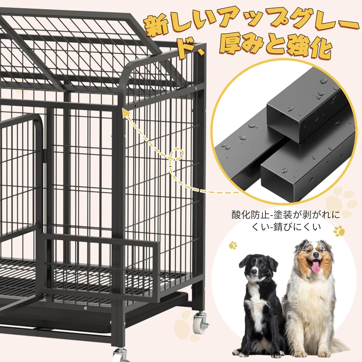 犬 サークル