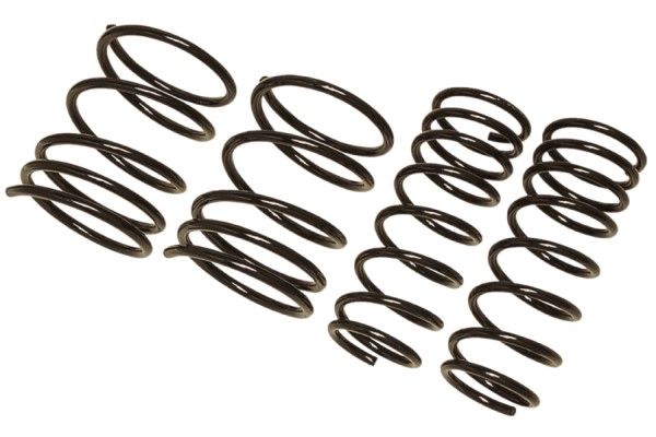 レーシングギア(RG) ダウンサス LOWFORM REVOLUTION トヨタ マークX GRX120/121 4GR-FSE/3GR-FSE 2WD，Sパッケージ 2500/3000cc 2004年11月～2009年10月 ST124A