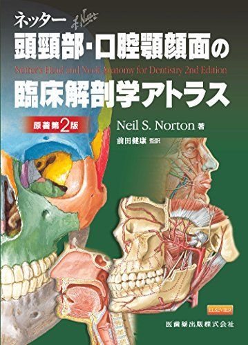 口腔解剖学 第2版 口腔解剖学 第2版 - メルカリ
