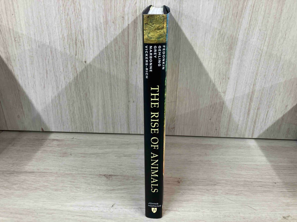 世紀末建築 全6巻揃 田原桂一／三宅理一【講談社】