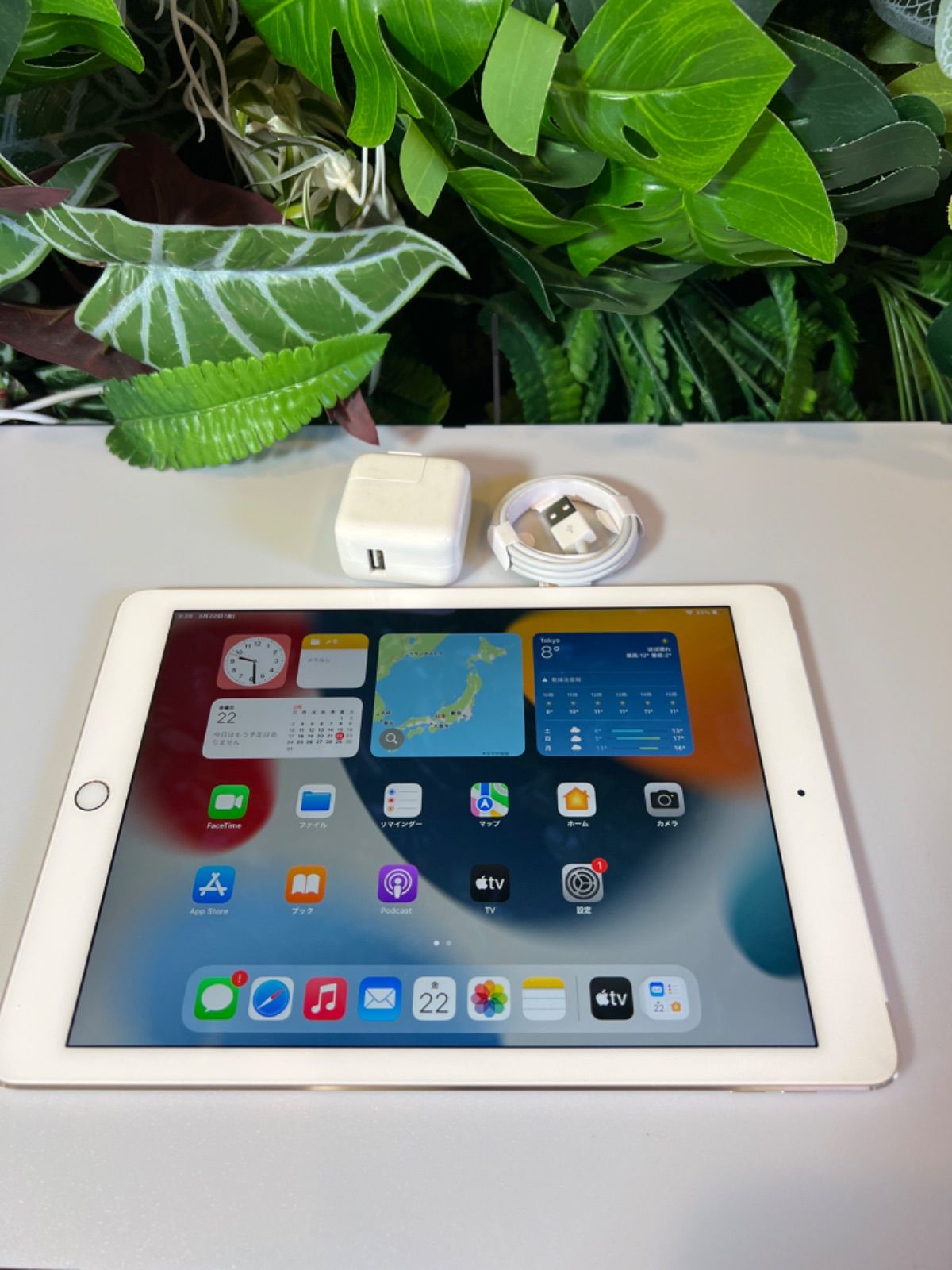 美品］ Apple iPad Air 第2世代/32GB/SIMフリー/Wi-Fi+Cellular 