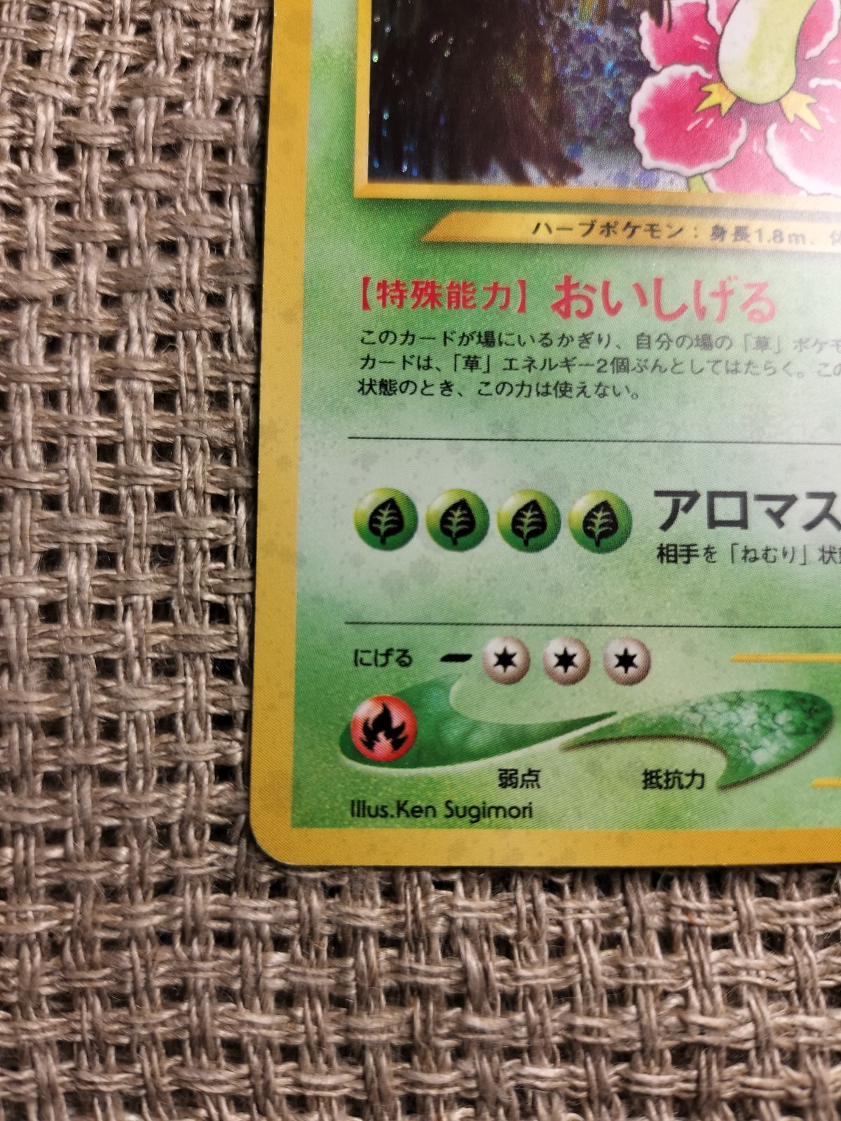 NO003_メガニウム_ポケモンカード_旧裏 - メルカリ