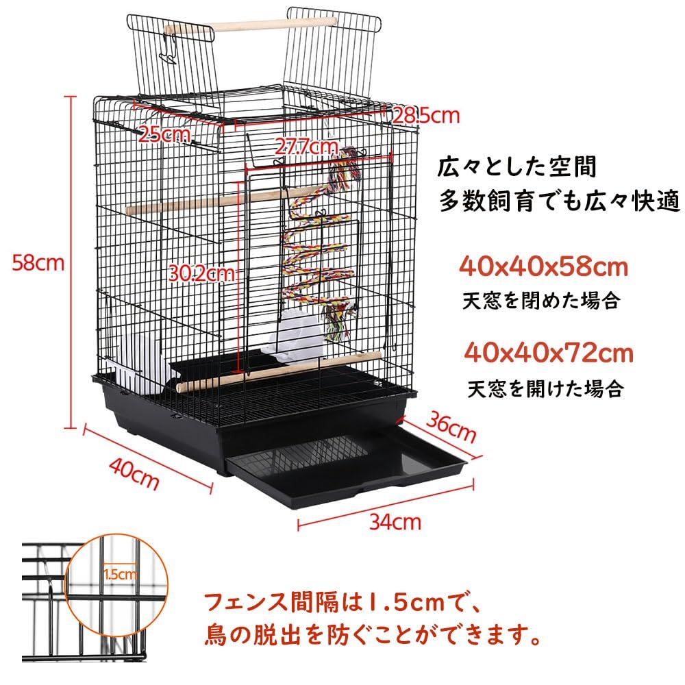 コザクラ コガネメキシコ