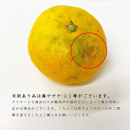 訳あり小玉みかん 20kg 熊本産 ＊送料無料 - メルカリ