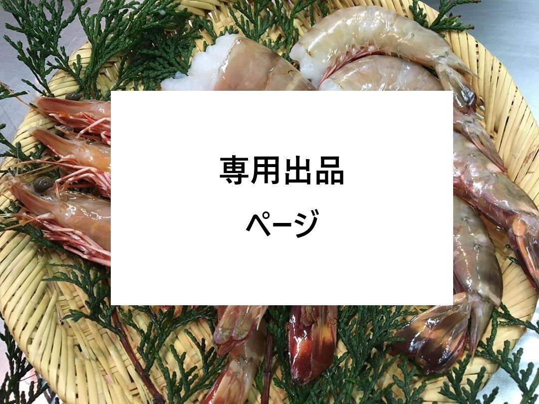 みかん様 専用 おみかん様 専用ページ ぶ厚 みかん様♡専用ページ