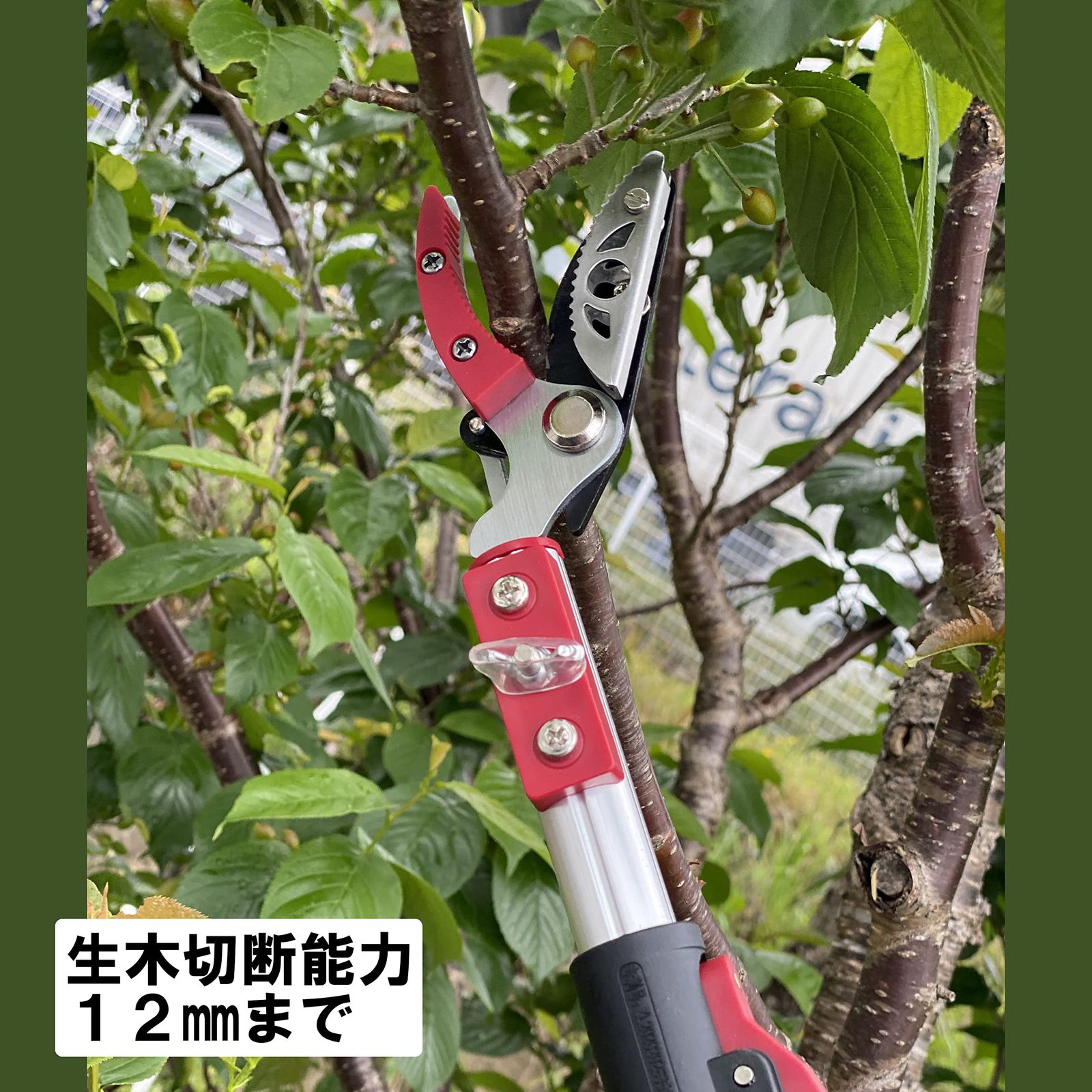 のこぎり付き 高枝切りバサミ