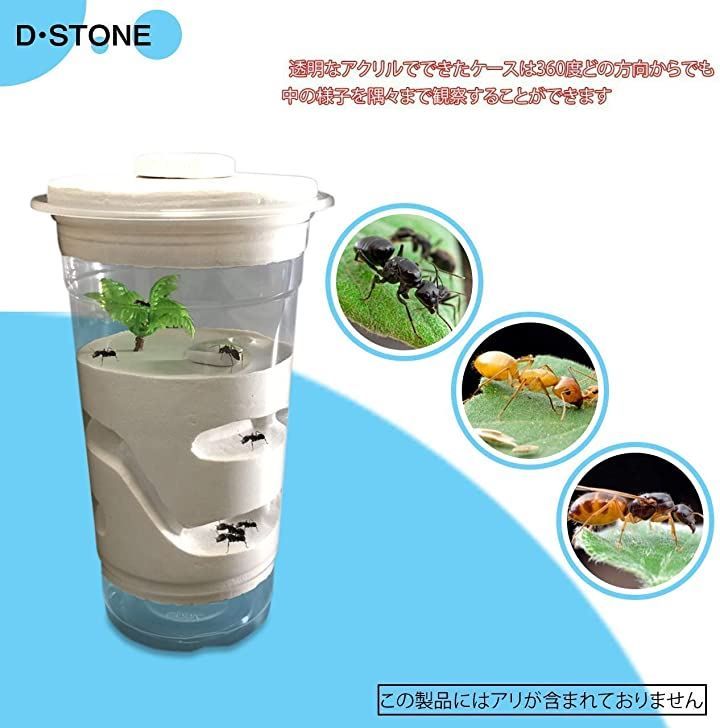 D・STONE アリ 飼育キット 石膏製 巣箱 アリの巣 観察 ケース 蟻用 多機能 セット 城 円形 保湿 アリなし M サイズ( 白色上蓋, M)  - メルカリ