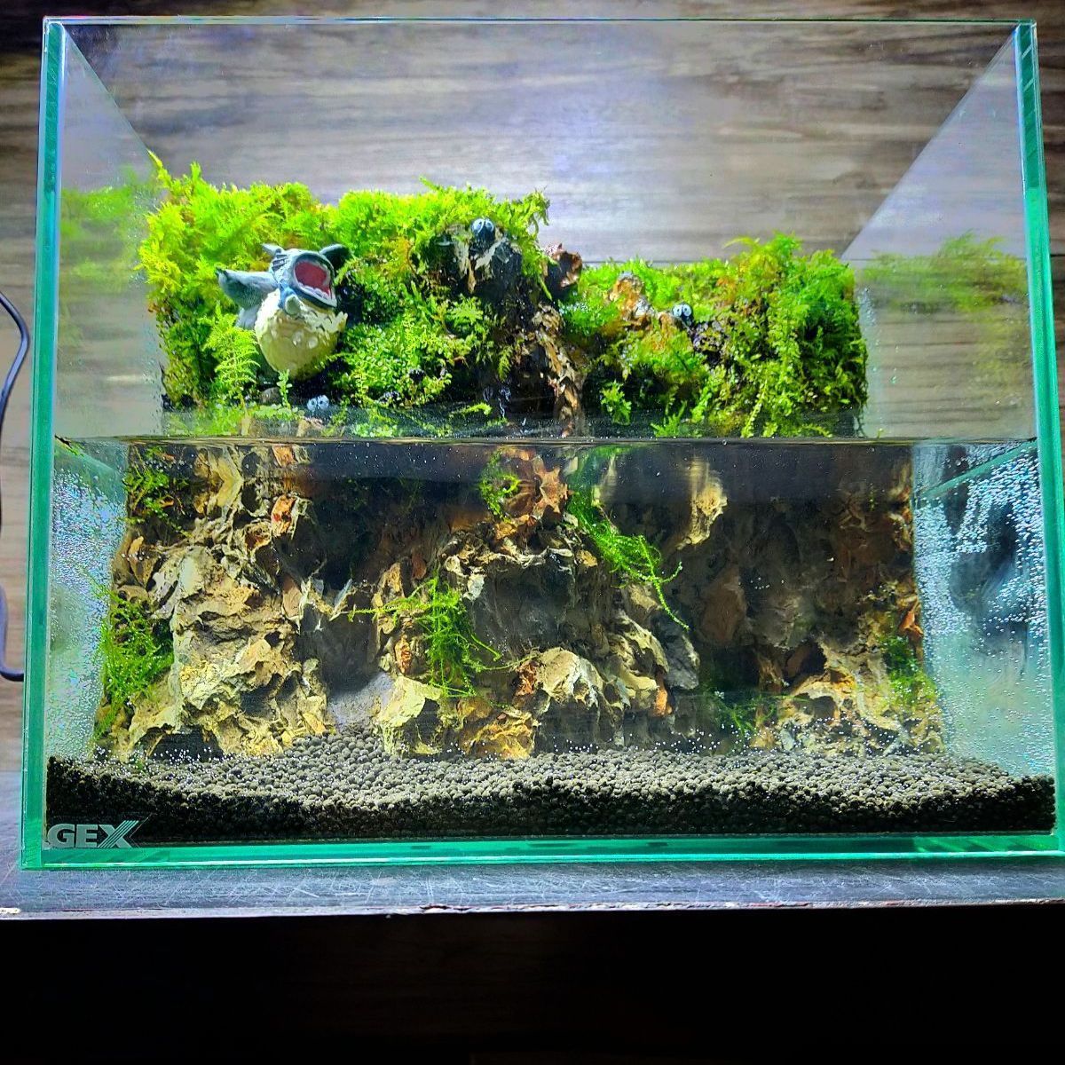 アクアテラリウム 流れる滝 ガジュマルのある渓谷 安く 買う