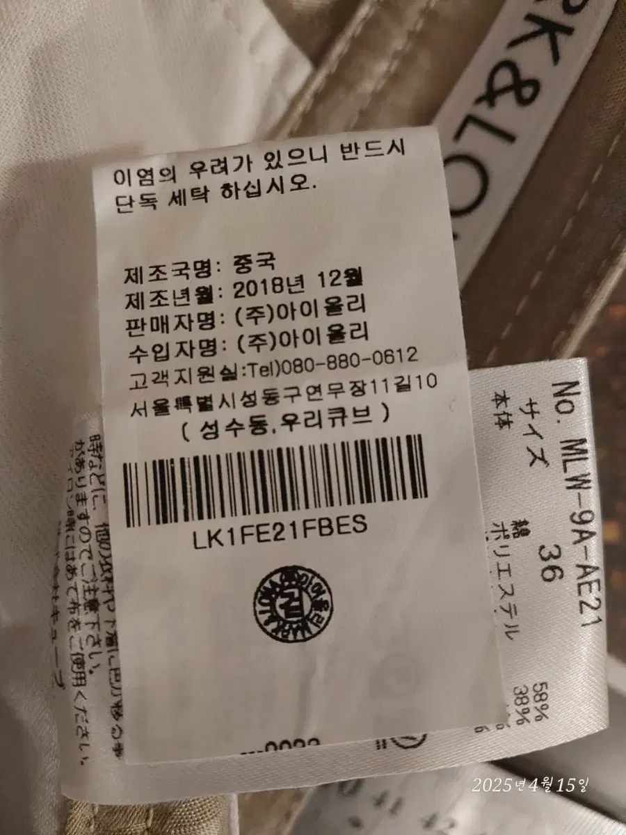 レディース