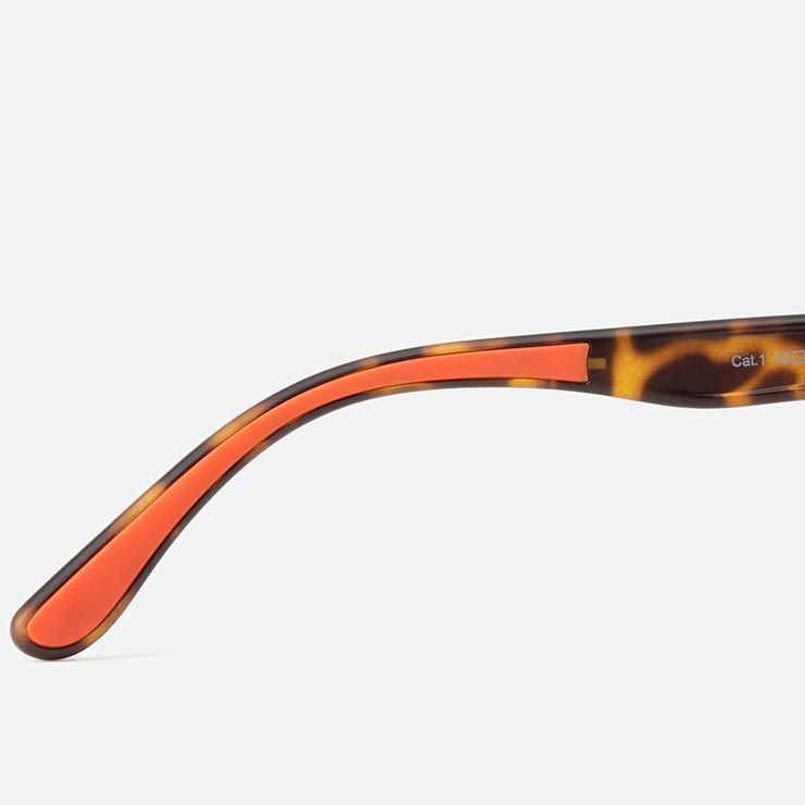 TY100-MT2-GYP 日本代理店