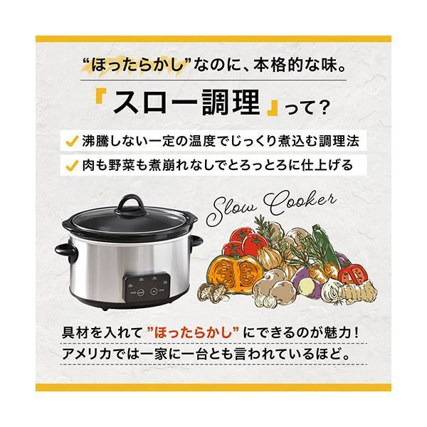 マスタースロークッカーポット
