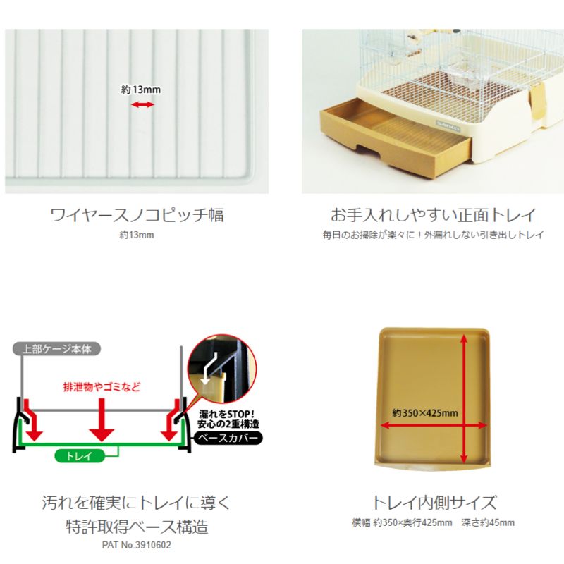 小鳥 多頭飼い