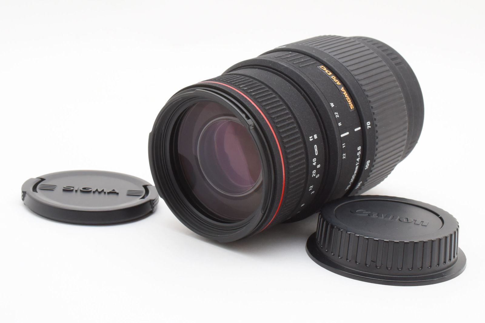 シグマ SIGMA APO 70-300mm F4-5.6 DG MACRO キヤノン CANON L550 4167
