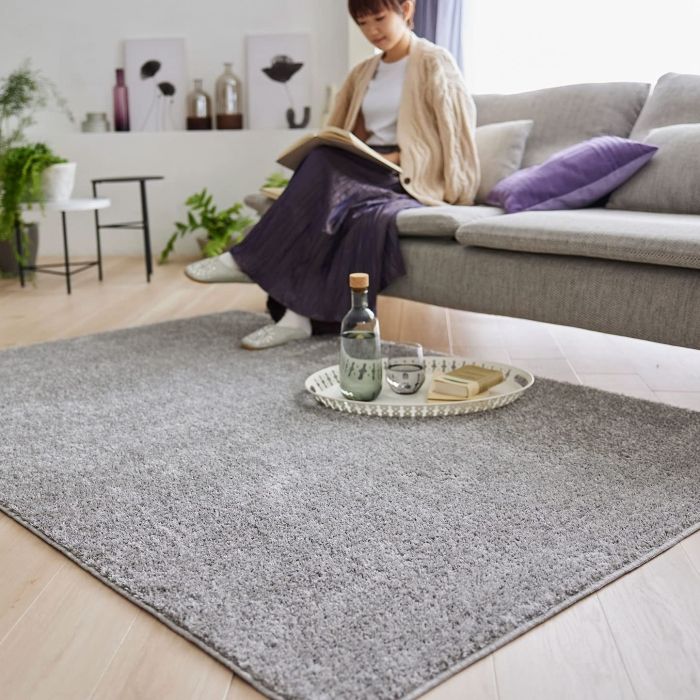 新品・3営業日で発送】スミノエ(Suminoe) ラグ グレー 小売業者 130