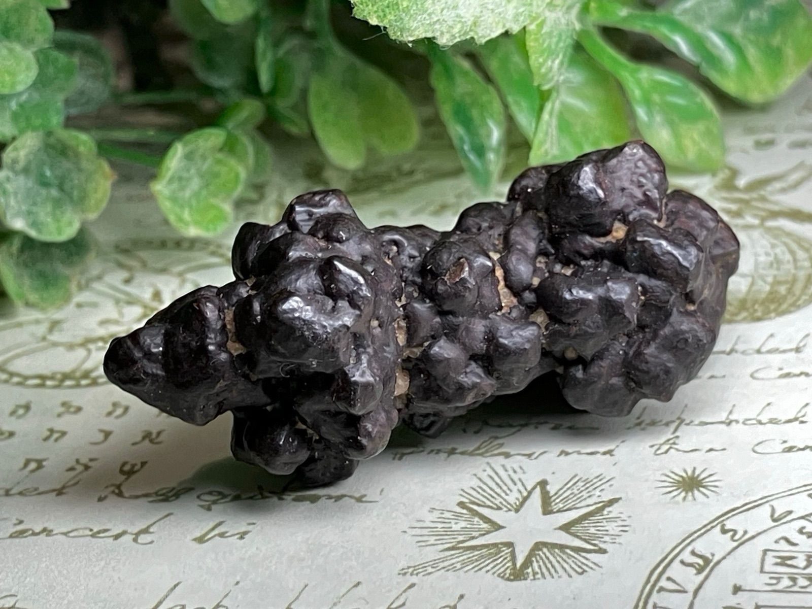 エジプトの星✴︎ ゼットストーン プロフェシーストーン ストア マーカ