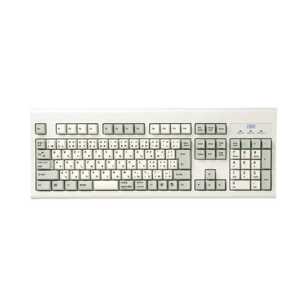 (まとめ)サンワサプライ キーボード防塵カバー FA-TIBM95