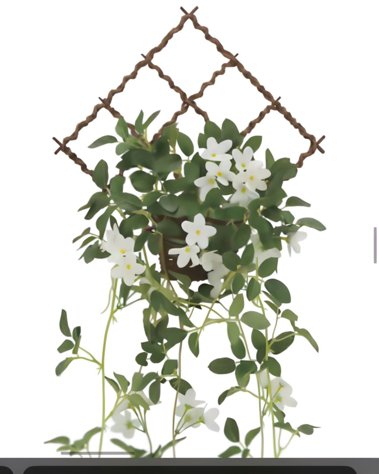 光触媒 人工観葉植物 ウォールグリーン フェイクグリーン 壁掛け