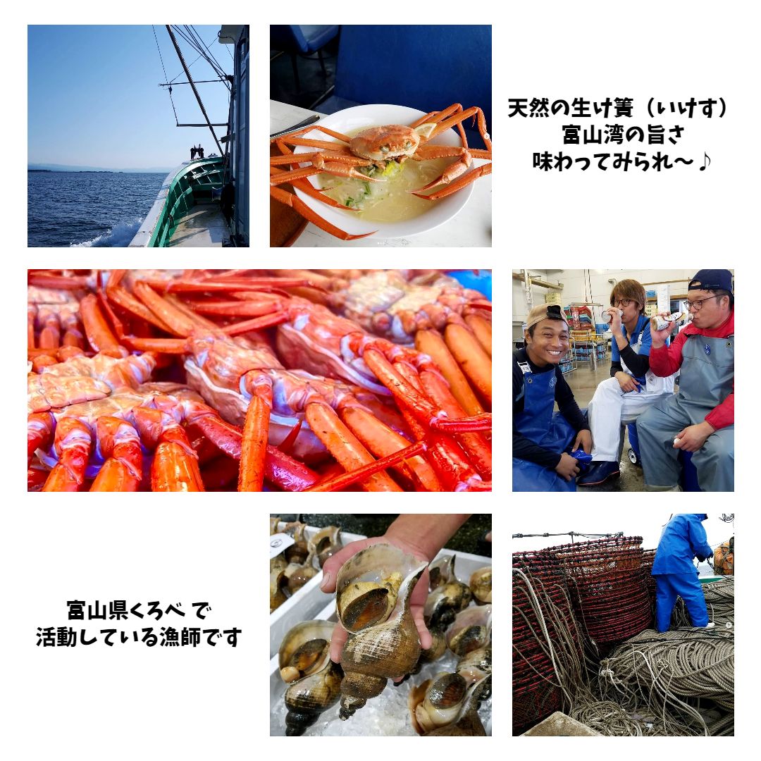 富山県産 ボイル