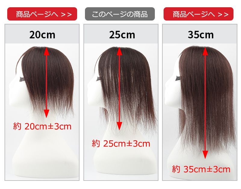 私元気 人毛 部分ウィッグ【25cm】 人毛 ウィッグ つむじ ヘアピース 黒髪-