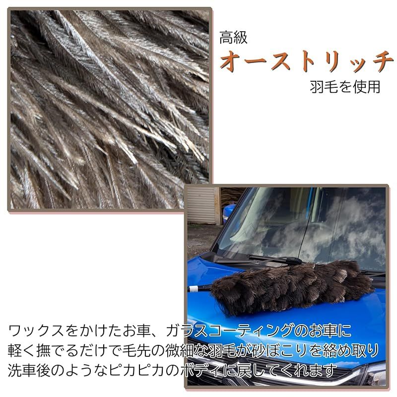 オーストリッチ